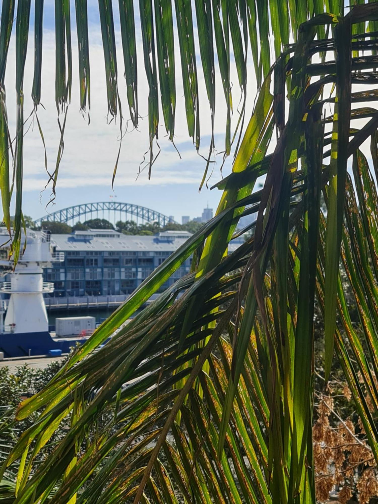 Homestay Harbour Views